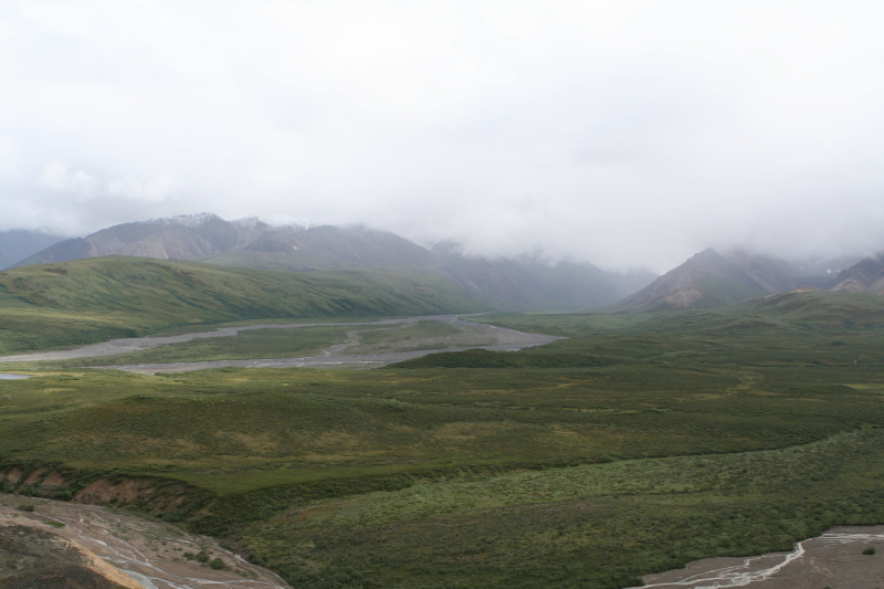 2011/07(July)/Alaska/4_Denali/800x600_2011-07-15-Denali-139.JPG