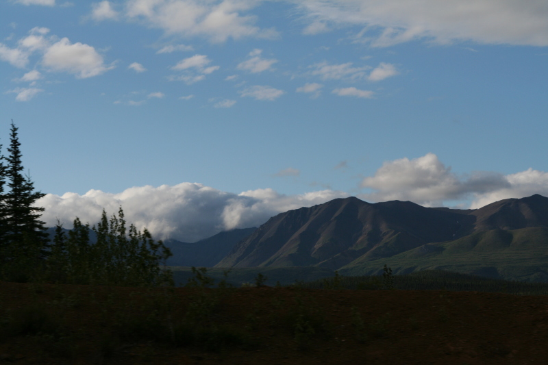 2011/07(July)/Alaska/4_Denali/800x600_2011-07-15-Denali-163.JPG
