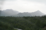 2011-07-15-Denali-026.JPG