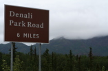 2011-07-15-Denali-029.JPG