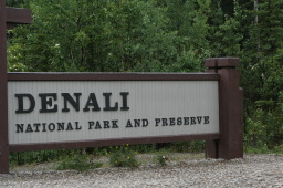 2011-07-15-Denali-030.JPG