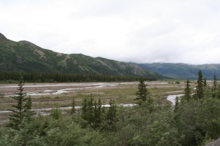 2011-07-15-Denali-053.JPG