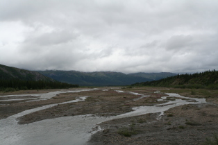 2011-07-15-Denali-056.JPG