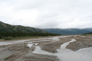 2011-07-15-Denali-057.JPG
