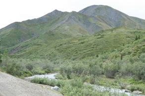 2011-07-15-Denali-059.JPG