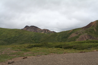 2011-07-15-Denali-087.JPG