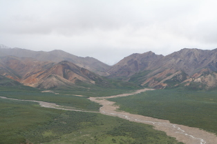2011-07-15-Denali-088.JPG