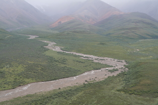 2011-07-15-Denali-089.JPG
