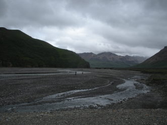 2011-07-15-Denali-099.JPG