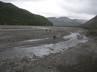 2011-07-15-Denali-100-Chance-Travis-Dax.JPG