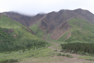 2011-07-15-Denali-111.JPG