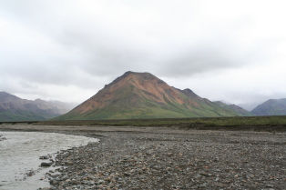 2011-07-15-Denali-113.JPG