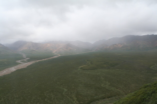 2011-07-15-Denali-130.JPG