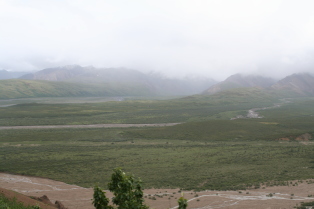 2011-07-15-Denali-132.JPG