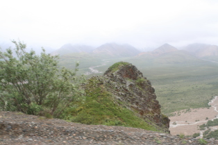 2011-07-15-Denali-134.JPG