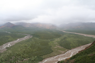 2011-07-15-Denali-136.JPG
