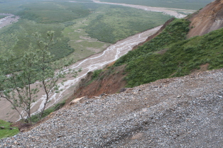 2011-07-15-Denali-137.JPG