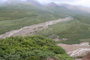 2011-07-15-Denali-140.JPG