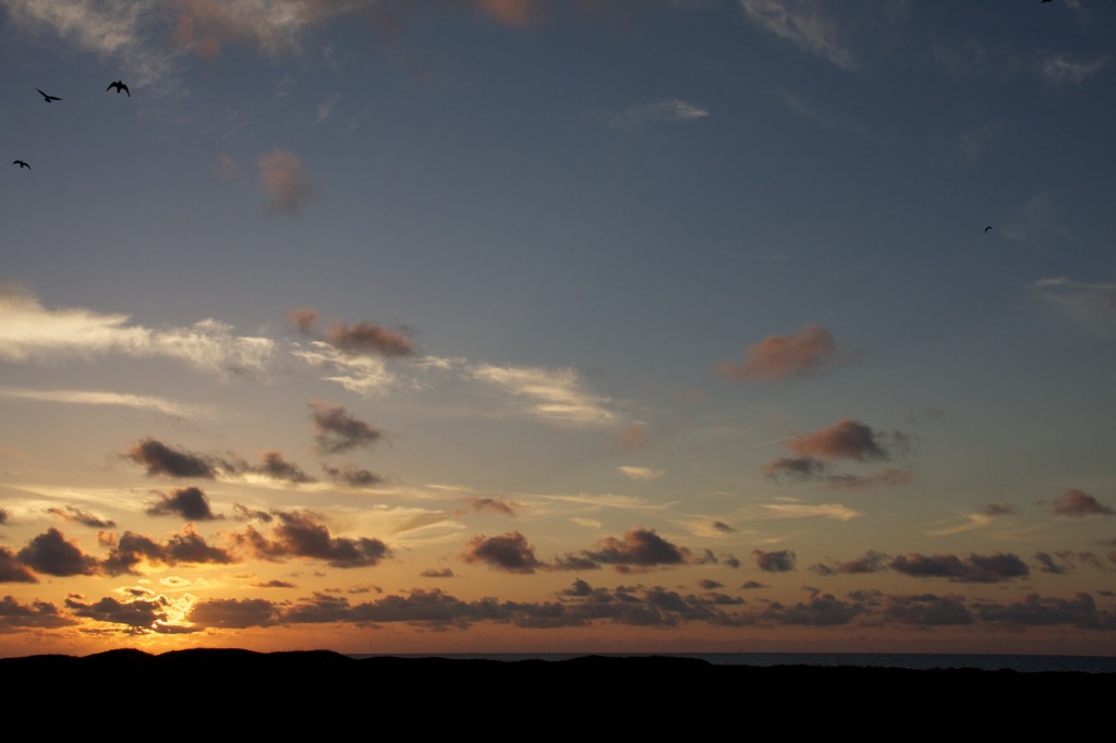 2011-07-08-Port-Aransas-Sunrise-16.jpg
