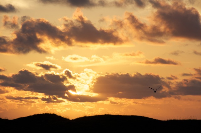 2011-07-08-Port-Aransas-Sunrise-17.jpg