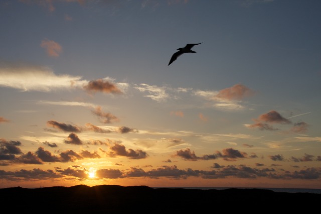2011-07-08-Port-Aransas-Sunrise-22.jpg