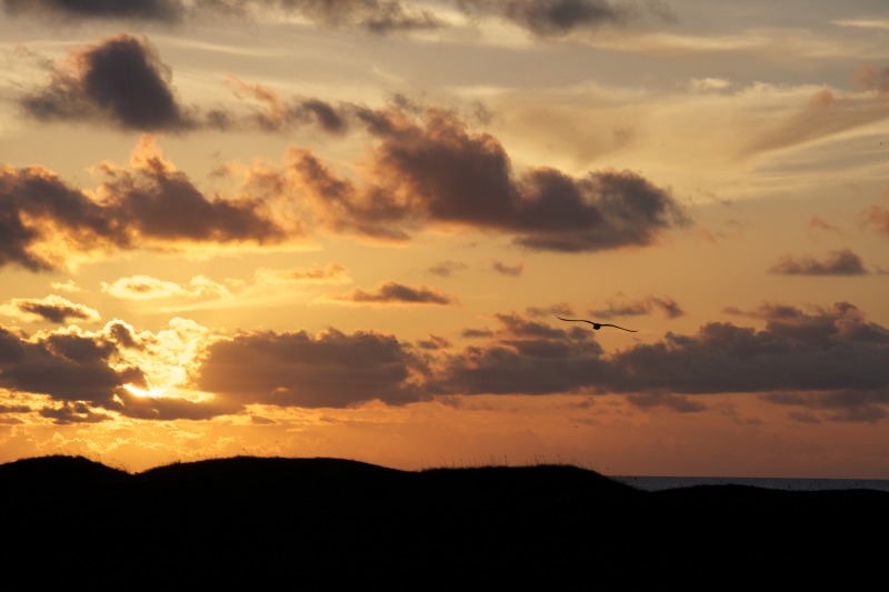 2011-07-08-Port-Aransas-Sunrise-18.jpg
