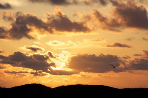 2011-07-08-Port-Aransas-Sunrise-17.jpg