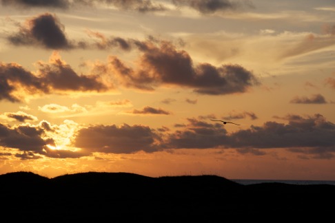 2011-07-08-Port-Aransas-Sunrise-18.jpg