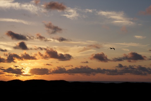 2011-07-08-Port-Aransas-Sunrise-19.jpg