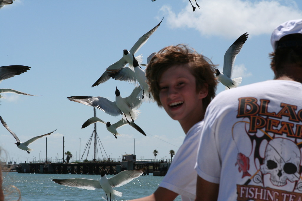 2011/07(July)/Port-Aransas/07-08-Port-Aransas-Dolphin-watch/1024x768_2011-07-08-Port-Aransas-Dolphin-tour-37-Chance.JPG