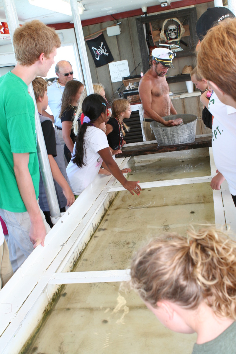 2011/07(July)/Port-Aransas/07-08-Port-Aransas-Dolphin-watch/800x600_2011-07-08-Port-Aransas-Dolphin-tour-29.JPG