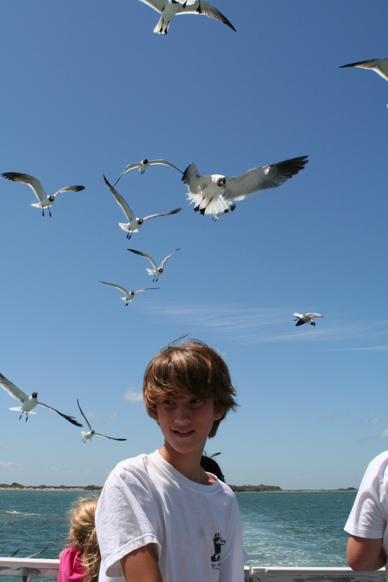 2011/07(July)/Port-Aransas/07-08-Port-Aransas-Dolphin-watch/800x600_2011-07-08-Port-Aransas-Dolphin-tour-35-Chance.JPG