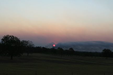 2011-09-06-Bastrop-Fire-Scout-Donation-10.JPG