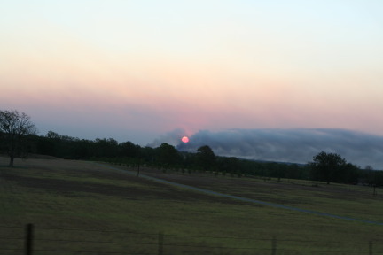 2011-09-06-Bastrop-Fire-Scout-Donation-11.JPG
