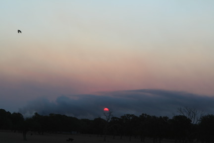 2011-09-06-Bastrop-Fire-Scout-Donation-26-GOOD.JPG