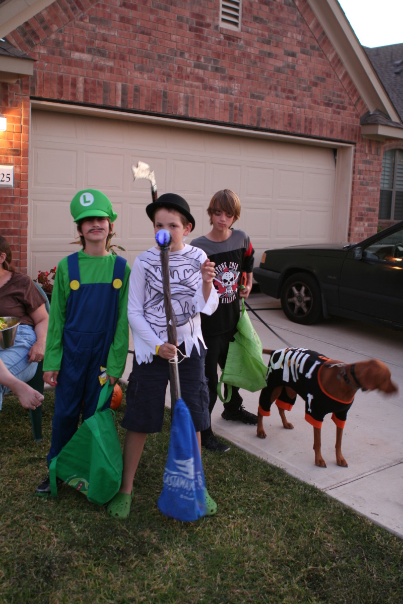 2011/10(October)/Halloween/800x600_2011-10-31-Halloween-07-Dax-Chance-Case-Bevo.JPG