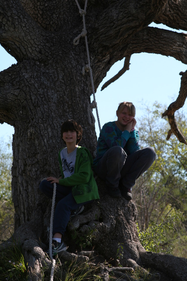 2011/10(October)/Pack409-Camp-Green-Dixon/640x480_2011-10-29-Pack409-Green-Dixon-108-OK.JPG