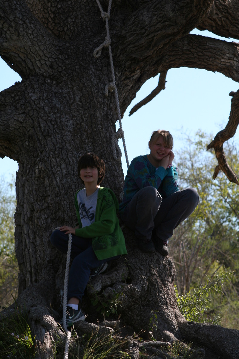 2011/10(October)/Pack409-Camp-Green-Dixon/800x600_2011-10-29-Pack409-Green-Dixon-108-OK.JPG
