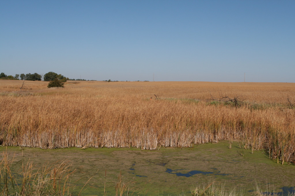 2011/10(October)/South-Dakota-SD/1-Mt-Vernon/Day-1-Hunting/1024x768_2011-10-01-SD-Hunting-15-Chance.JPG