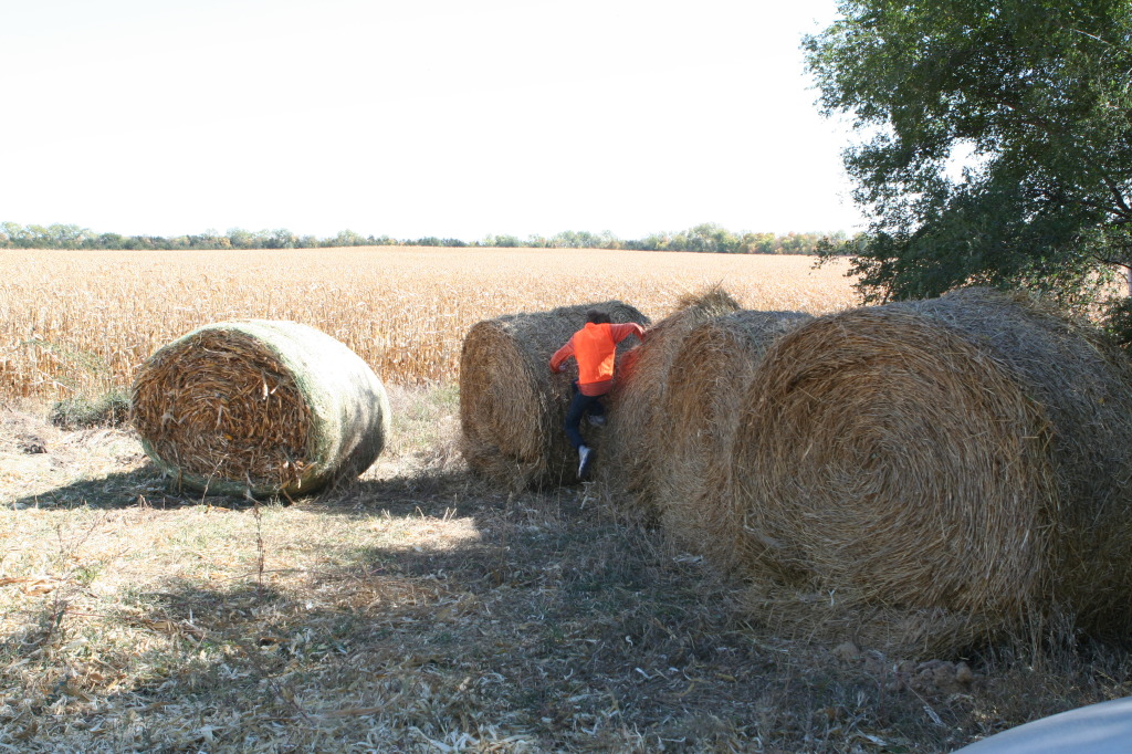 2011/10(October)/South-Dakota-SD/1-Mt-Vernon/Day-1-Hunting/1024x768_2011-10-01-SD-Hunting-29-Chance-Haybale.JPG