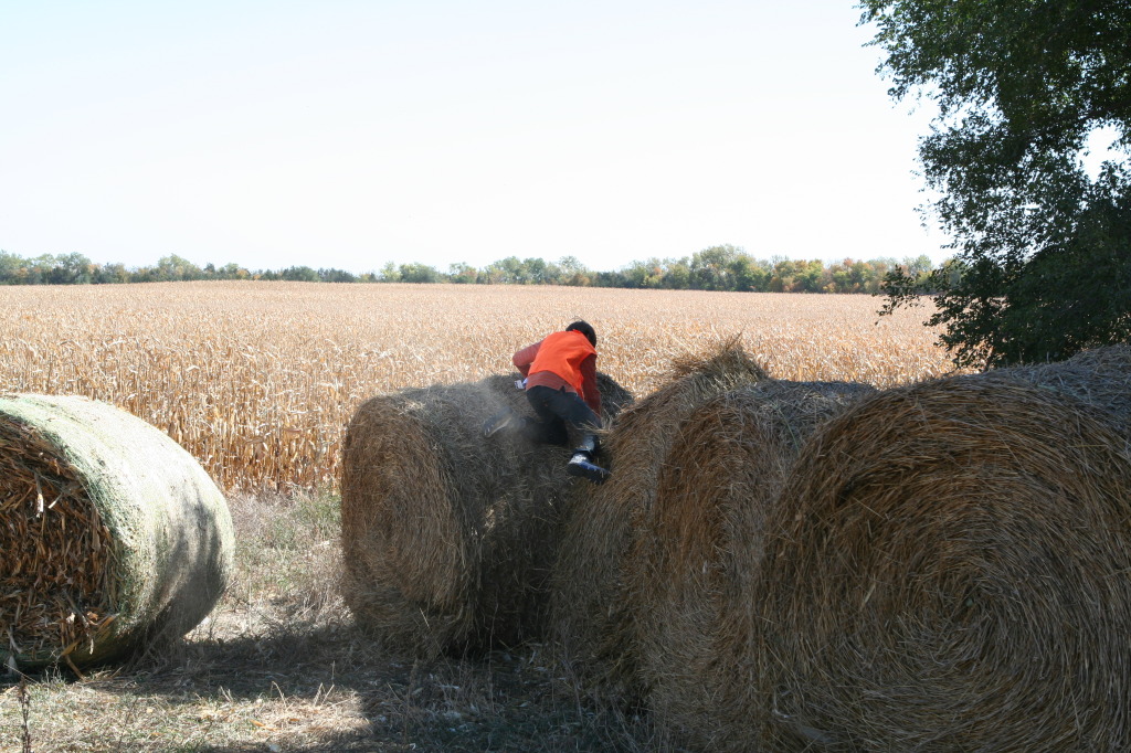 2011/10(October)/South-Dakota-SD/1-Mt-Vernon/Day-1-Hunting/1024x768_2011-10-01-SD-Hunting-31-Chance-Haybale.JPG