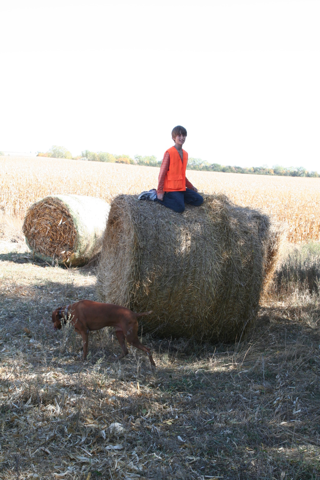 2011/10(October)/South-Dakota-SD/1-Mt-Vernon/Day-1-Hunting/1024x768_2011-10-01-SD-Hunting-35-Chance-Haybale.JPG