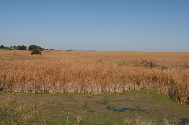 2011/10(October)/South-Dakota-SD/1-Mt-Vernon/Day-1-Hunting/640x480_2011-10-01-SD-Hunting-14-Chance.JPG