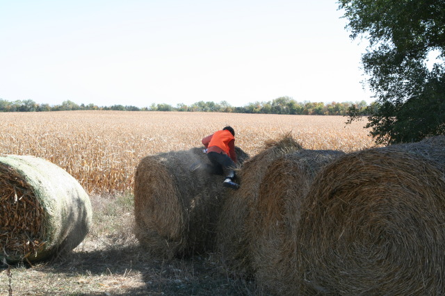 2011/10(October)/South-Dakota-SD/1-Mt-Vernon/Day-1-Hunting/640x480_2011-10-01-SD-Hunting-31-Chance-Haybale.JPG