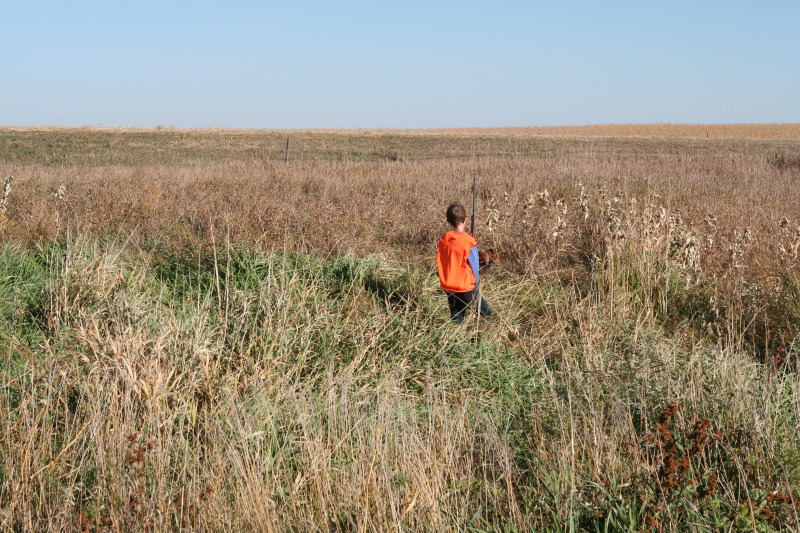 2011/10(October)/South-Dakota-SD/1-Mt-Vernon/Day-1-Hunting/800x600_2011-10-01-SD-Hunting-05-Chance.JPG