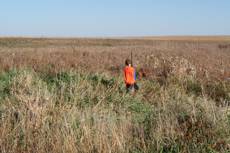 2011/10(October)/South-Dakota-SD/1-Mt-Vernon/Day-1-Hunting/800x600_2011-10-01-SD-Hunting-06-Chance-Bevo.JPG