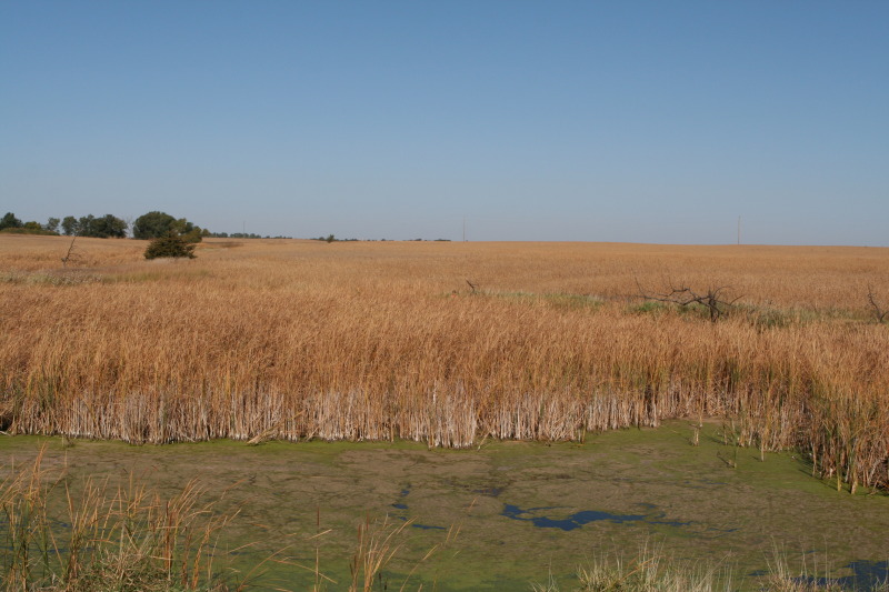 2011/10(October)/South-Dakota-SD/1-Mt-Vernon/Day-1-Hunting/800x600_2011-10-01-SD-Hunting-14-Chance.JPG