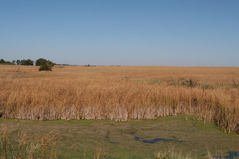 2011/10(October)/South-Dakota-SD/1-Mt-Vernon/Day-1-Hunting/800x600_2011-10-01-SD-Hunting-15-Chance.JPG