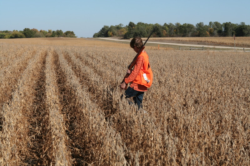2011/10(October)/South-Dakota-SD/1-Mt-Vernon/Day-1-Hunting/800x600_2011-10-01-SD-Hunting-23-Chance.JPG
