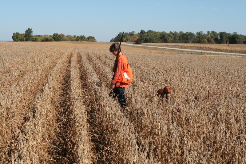 2011/10(October)/South-Dakota-SD/1-Mt-Vernon/Day-1-Hunting/800x600_2011-10-01-SD-Hunting-24-Chance-Bevo.JPG